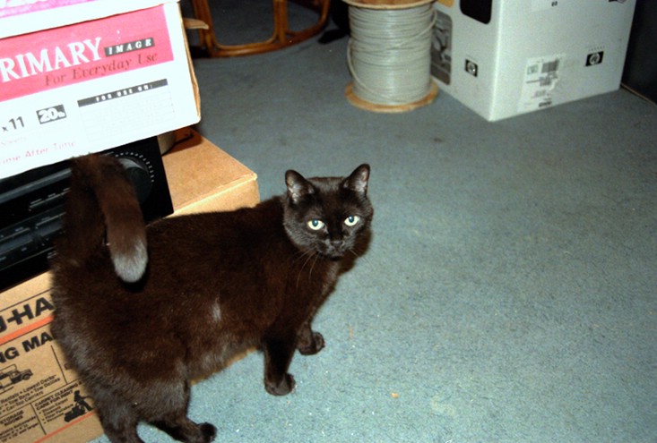 04_04_02-tiffany01.jpg