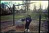 04_07_02-ruthie_at_playground02.jpg
